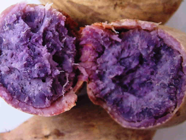 紫芋の健康効果についての画像2