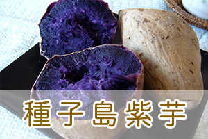 むらさきまーとの種子島紫芋
