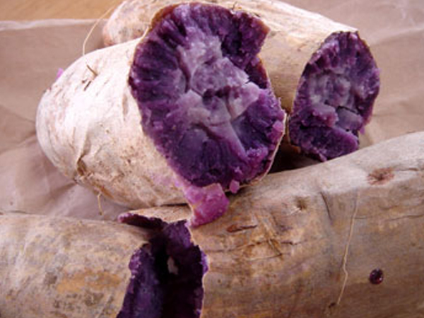 種子島紫芋について、安納紅芋との違いの画像