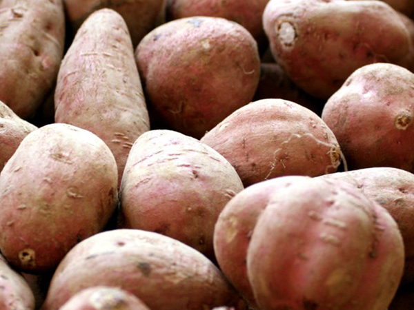安納芋の安納紅芋について、見た目や味の特徴の画像