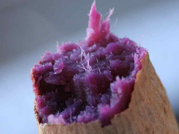 紫芋の健康効果について